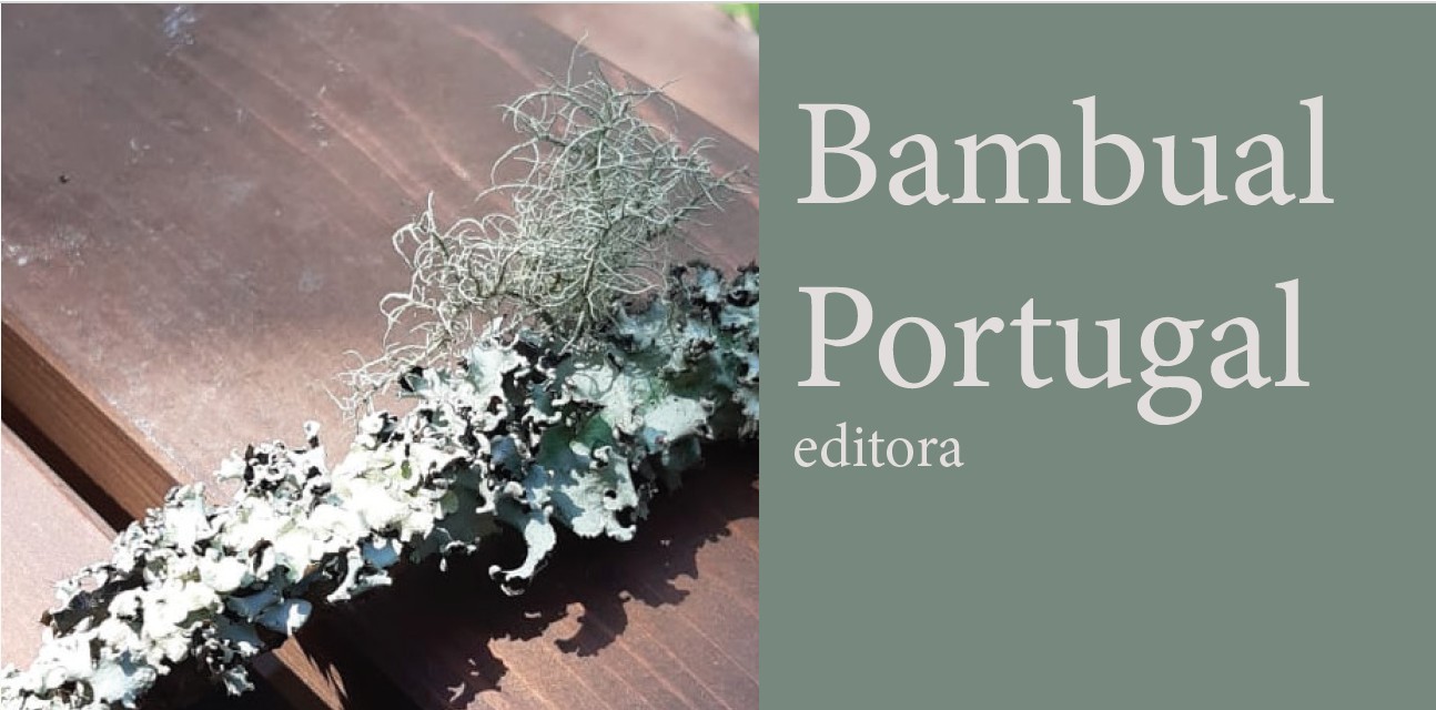 Capa do livreto sobre a história da Bambual Portugal