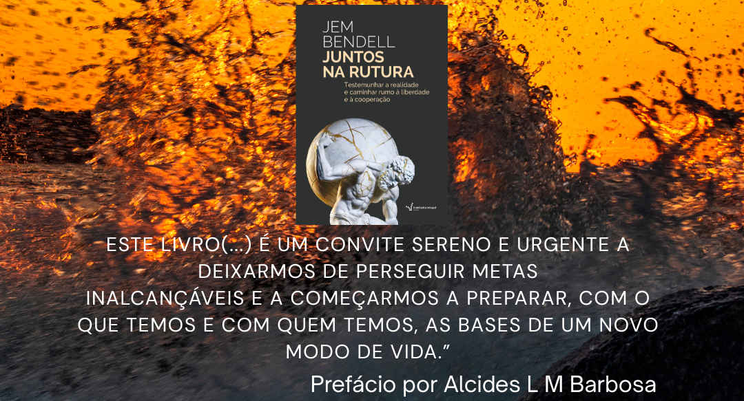 Resumo do capítulo 3 de Juntos na Rutura: O colapso energético e os problemas das emissões zero